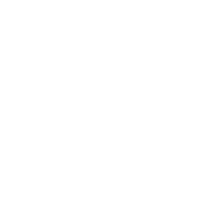 icone chien chat avec un éclair, problèmes de comportement / neurologiques