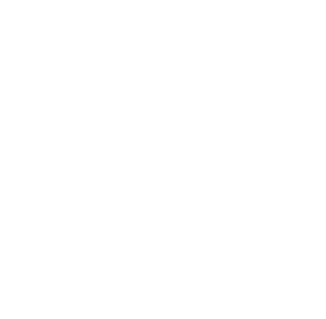 icone système reproductif et urinaire