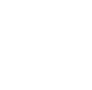 icone euro